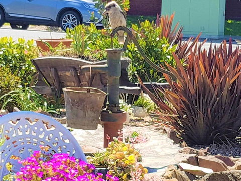 Wilsons Promontory Motel - Accommodation Whitsundays 8