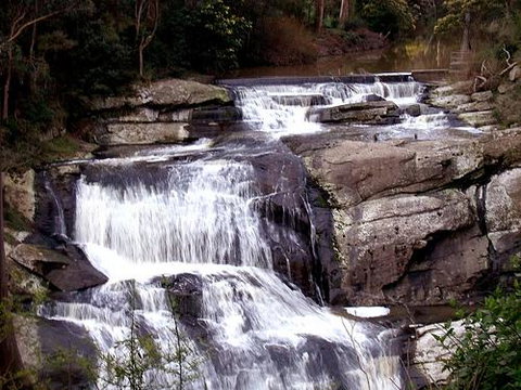 Wilsons Promontory Motel - Accommodation Whitsundays 32