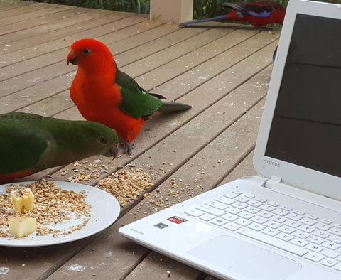 Wilsons Promontory Motel - Accommodation Whitsundays 0