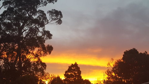 Wilsons Promontory Motel - Accommodation Whitsundays 25