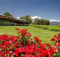 Balgownie Estate Vineyard Resort  Spa - Accommodation Whitsundays