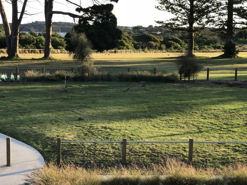 Bunya By The Sea - Accommodation Whitsundays 3