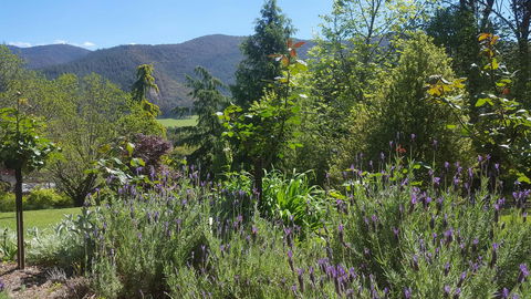 Abbys Cottages Bright - Accommodation Whitsundays 33