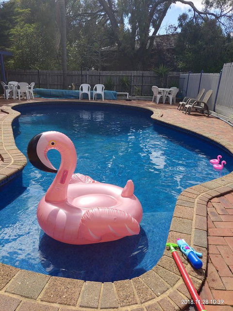 Coachman Motel And Holiday Units - Accommodation Whitsundays 7