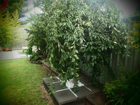 Azen Haven - Accommodation Whitsundays 12