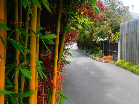 Azen Haven - Accommodation Whitsundays 14