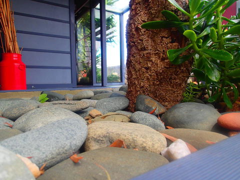 Azen Haven - Accommodation Whitsundays 11