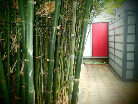 Azen Haven - Accommodation Whitsundays 13