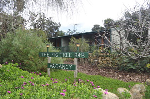 The Fig Tree B&B - Accommodation Whitsundays 0