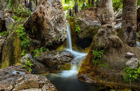 The Station At El Questro - Accommodation Whitsundays 1