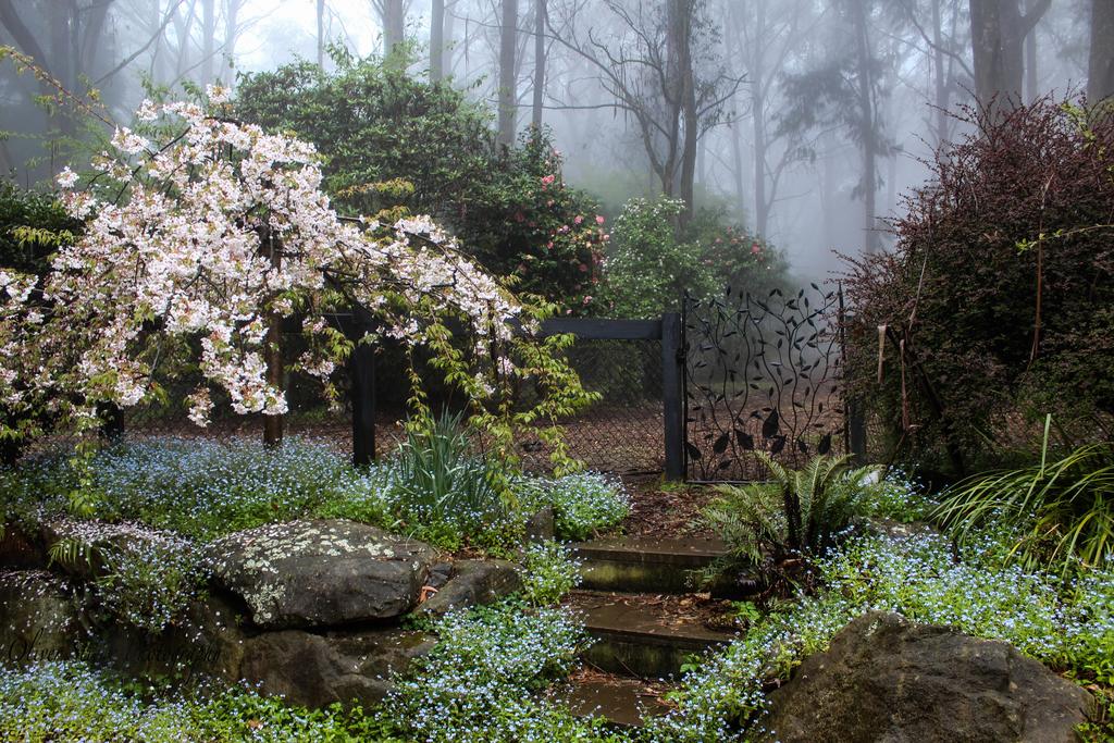 Mount Tomah NSW Accommodation Whitsundays