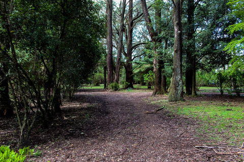 Tomah Retreat - Relax & Heal At UNWIND - Accommodation Whitsundays 1