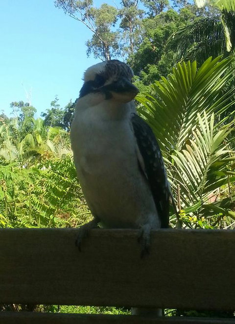 Tropic Oasis - Accommodation Whitsundays 3