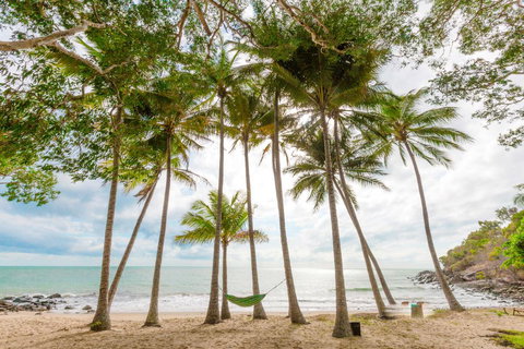 Turtle Cove Beach Resort - Adults Only LGBTQIA & Allies - Accommodation Whitsundays 3