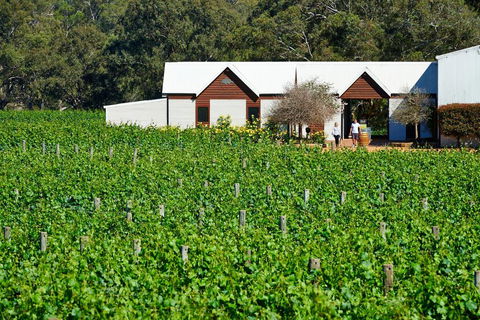 Upper Reach Spa Cottage - Accommodation Whitsundays 0