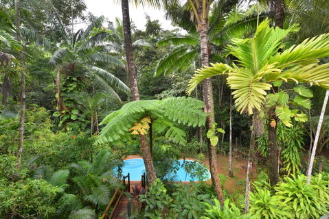 Wait A While Daintree - Accommodation Whitsundays 3