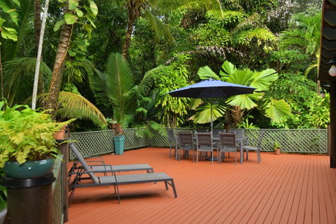 Wait A While Daintree - Accommodation Whitsundays 2