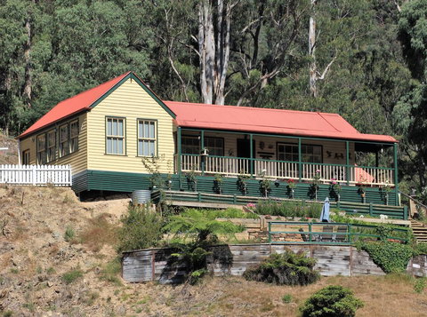 Walhalla Wild Cherry - Accommodation Whitsundays 0