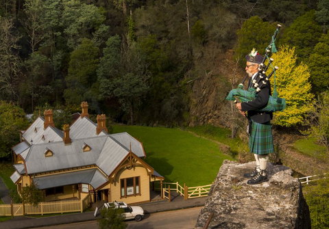 Walhalla Wild Cherry - Accommodation Whitsundays 2