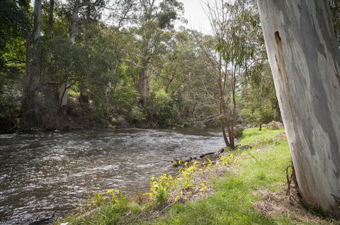 Oscar\'s On The Yarra - Accommodation Whitsundays 23