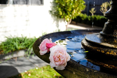 Bed Of Roses - Accommodation Whitsundays 35