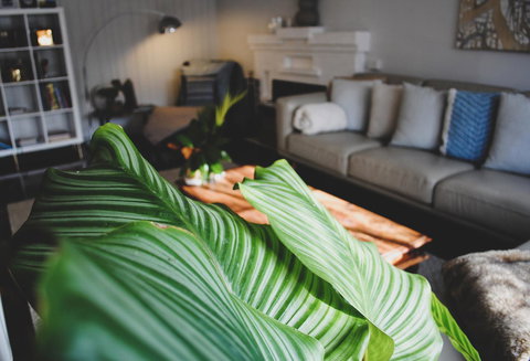 Bed Of Roses - Accommodation Whitsundays 29