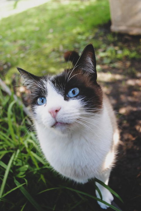 Bed Of Roses - Accommodation Whitsundays 31
