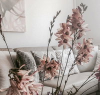 Bed of Roses - Accommodation Whitsundays