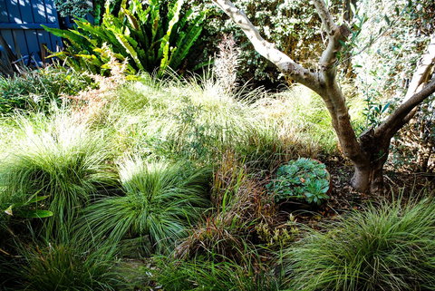 Bed Of Roses - Accommodation Whitsundays 21