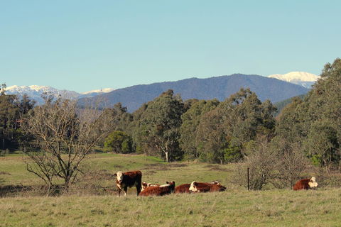 3 Bells Alpine Cottage - Accommodation Whitsundays 21