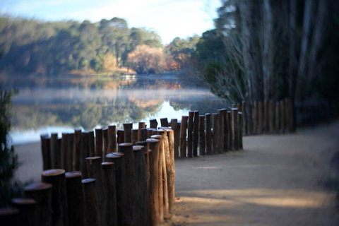 Minni Gums - Accommodation Whitsundays 4