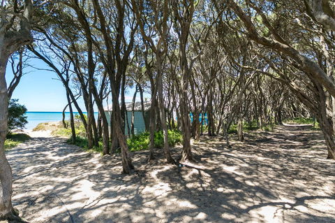 Perfect Blairgowrie Beach House - Accommodation Whitsundays 17