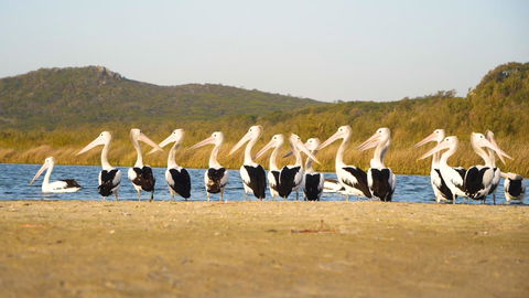 Castaways Moreton Island - Accommodation Whitsundays 11