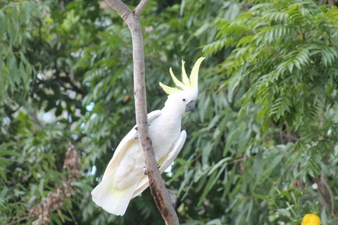 Airlie Beach Eco Cabins - Adults Only - Accommodation Whitsundays 4