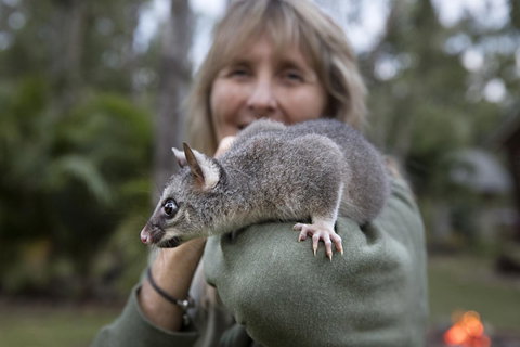 Airlie Beach Eco Cabins - Adults Only - Accommodation Whitsundays 11