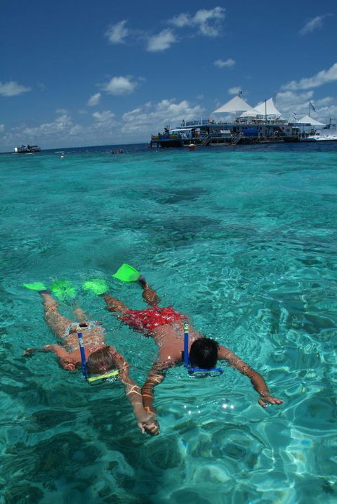 Poinciana 112 - Accommodation Whitsundays 22