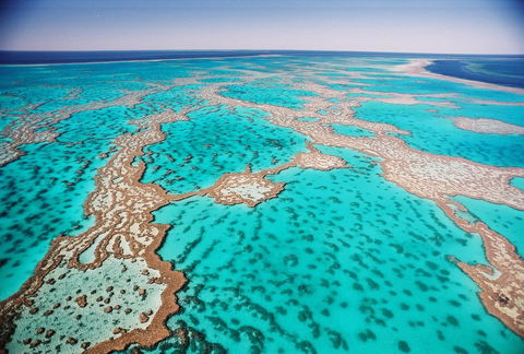Poinciana 112 - Accommodation Whitsundays 20