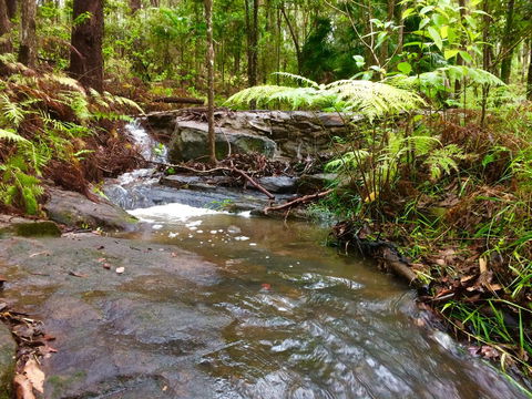 Noosa Hinterland Retreat - Accommodation Whitsundays 12