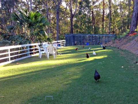 Noosa Hinterland Retreat - Accommodation Whitsundays 11