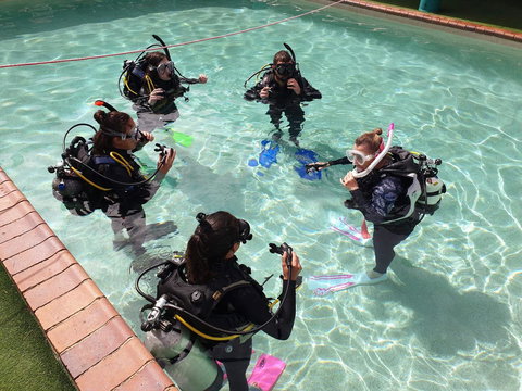 Backpackers In Paradise 18-35 Hostel - Accommodation Whitsundays 18