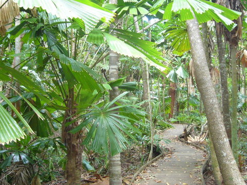 Port Douglas Retreat - Accommodation Whitsundays 18