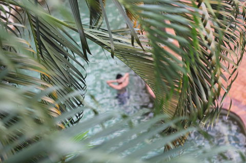 Coral Tree Inn - Accommodation Whitsundays 36