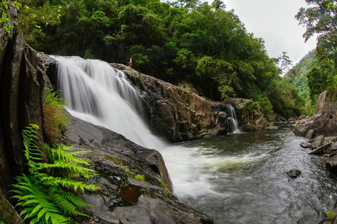 Coral Tree Inn - Accommodation Whitsundays 40