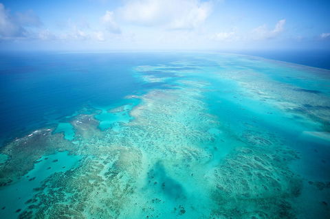 Coral Tree Inn - Accommodation Whitsundays 37