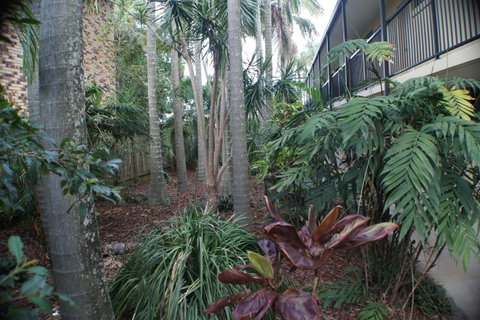Best Western Airport 85 Motel - Accommodation Whitsundays 34