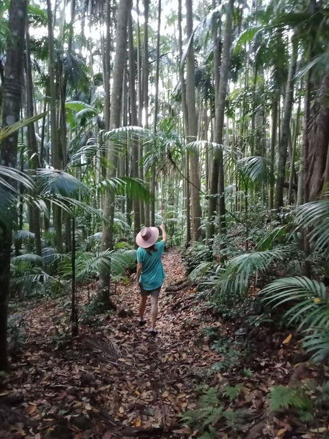 Manitzky Magic -B&B Home With Heart - Accommodation Whitsundays 27
