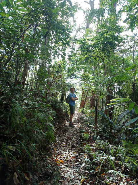 Manitzky Magic -B&B Home With Heart - Accommodation Whitsundays 29