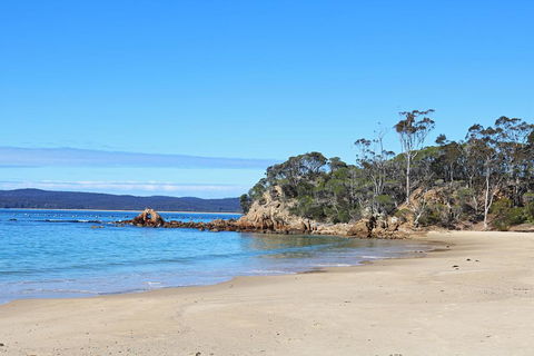 Whale Cove Circuit - Accommodation Whitsundays 1