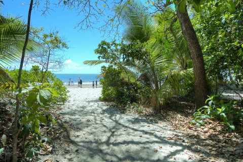 Whispering Palms - Accommodation Whitsundays 1