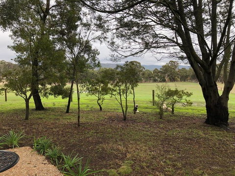 Willandra Tiny House - Accommodation Whitsundays 3